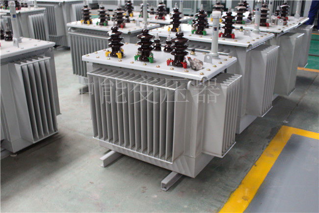 海西S22-100KVA/10KV/0.4KV变压器